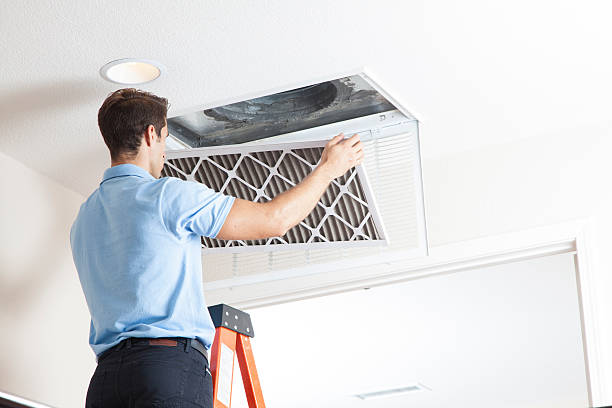 Best Air Filters and Purifiers in Waldron, AR